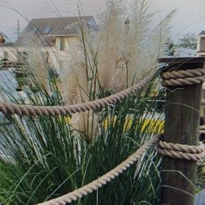 Meet your Posher, Cami